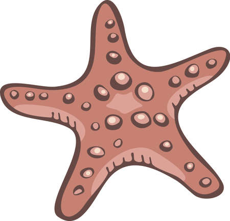 Vector illustration of starfish isolated on a white background. Design of sea star.のイラスト素材