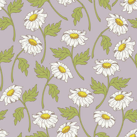 Vector seamless pattern with chamomiles. Vector flowers design.のイラスト素材