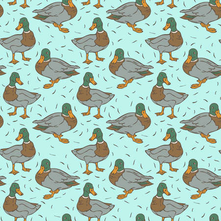 Vector seamless pattern with wild ducks on blue backround. Design with drakes.のイラスト素材