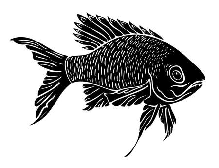 Vector illustration with silhouette of a fish. Isolated fish.のイラスト素材