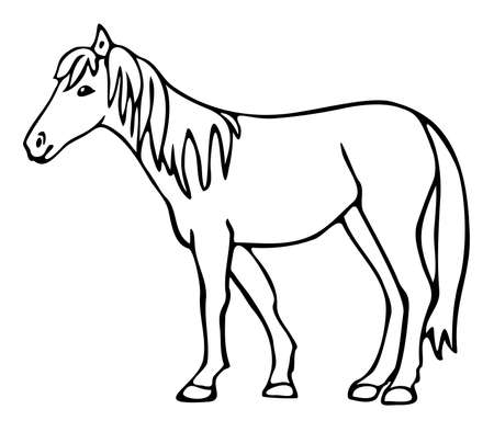 Vector illustration of hand drawn horse. Black and white horse.のイラスト素材