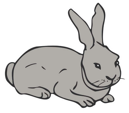 Vector illustration of gray rabbit. Hand drawn isolated bunny.のイラスト素材