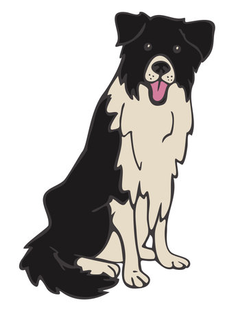 Vector illustration of border collie. hand drawn dog.のイラスト素材