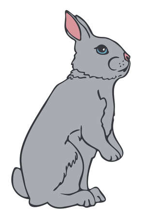 Vector illustration of bunny colored and depicted by a line. Hand drawn rabbit standing on hind legs.のイラスト素材
