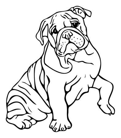 Vector illustration of black and white bulldog with raised paw. hand drawn dog.のイラスト素材