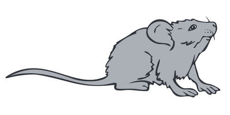 Vector illustration of hand drawn mouse. Mouse colored and depicted by a line.のイラスト素材