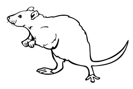 Vector illustration of black and white rat. Design for coloring book.のイラスト素材
