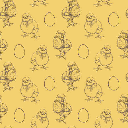 Vector seamless pattern with outlines of chicks and eggs. hand drawn design.のイラスト素材