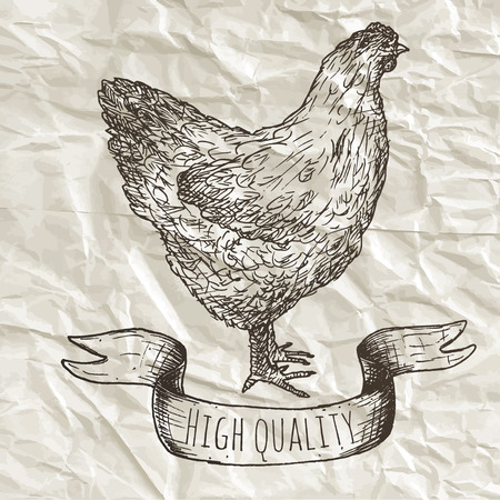 Farm animals collection. Hand drawn vector illustration.のイラスト素材