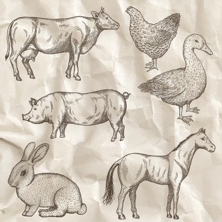 Farm animals set. Hand drawn vector illustration.のイラスト素材