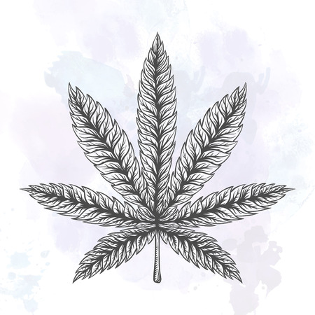 Marijuana stuff collection. Hand drawn isolated illustrations on watercolor background.のイラスト素材