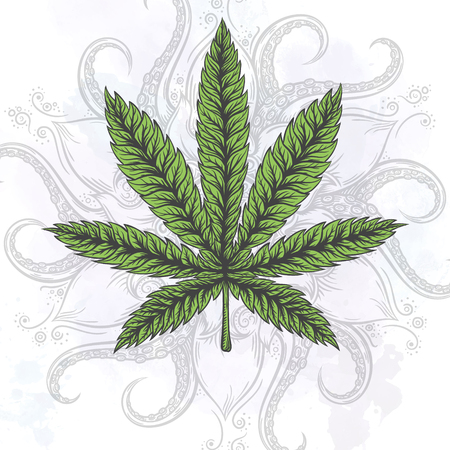 Marijuana leaf. Hand drawn isolated illustrations on abstract watercolor background.のイラスト素材