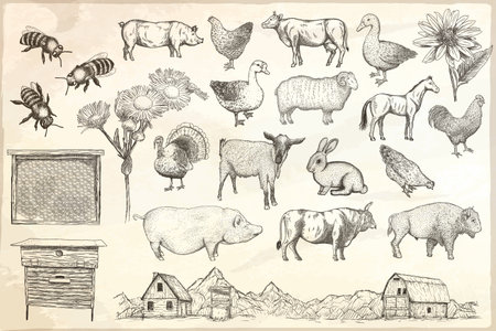 Collection of farm animals on a paper background. Hand drawn vector isolated illustrations.のイラスト素材