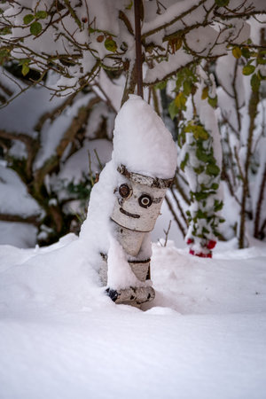 Snow cap in the winter gardenの写真素材