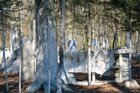 A base for hiding in Paintball, a fortification behind a wooden wall among trees. A place to play in the woods.の写真素材