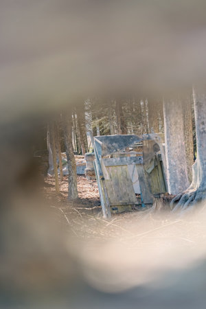 Arena for paintball sports. Fortification in the forest among walls made of wood and tires.の写真素材