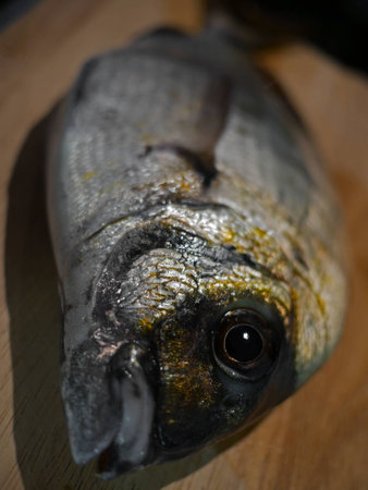 fish sarの写真素材