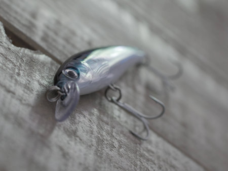 fishing lure blueの写真素材