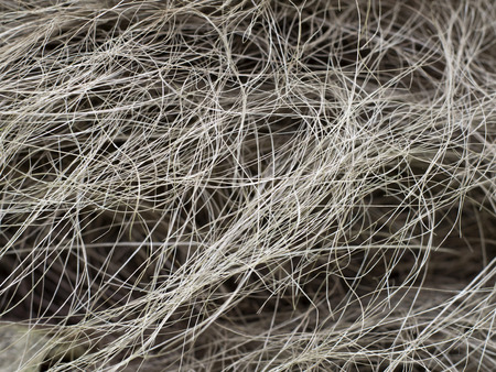 fur texture