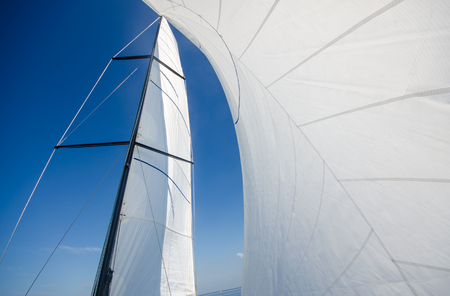 Modern Sailing boat white sailsの写真素材