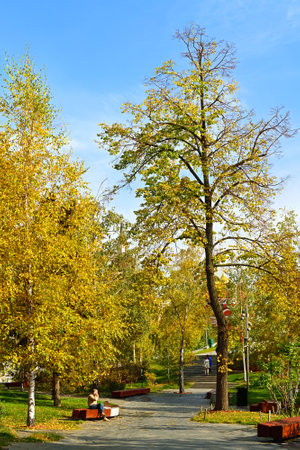 Golden autumn in Zaryadye landscape urban park. Birch groveのeditorial素材