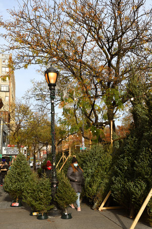 Selling Christmas trees on street. New york cityのeditorial素材