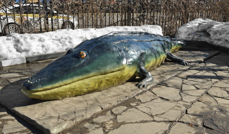 Mastodonsaurus (breast tooth lizard), extinct genus of temnospondyl amphibian from Middle Triassic. It belongs to the Triassic group of temnospondyls called Capitosauriaのeditorial素材