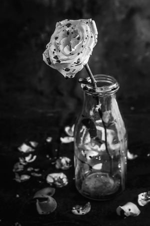 Bloody rose in bottle on black backgroundの写真素材