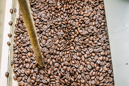 The freshly roasted coffee beans from a coffee roaster.の写真素材