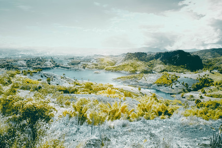 Beautiful infrared landscape forest imageの写真素材