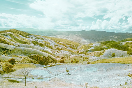 Beautiful infrared landscape forest image