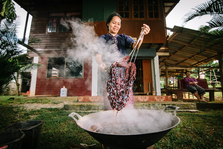 Chiang Rai, Thailand - September 17, 2015 : Unidentified woman is dyeing cotton with natural materials in Chiang Rai, Thailandのeditorial素材