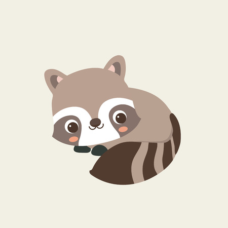 Cute Raccoonのイラスト素材