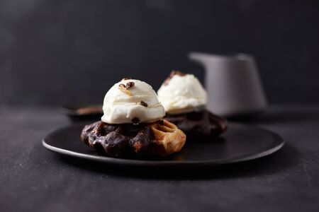 fresh waffle with ice cream and caramel sauce.
の写真素材