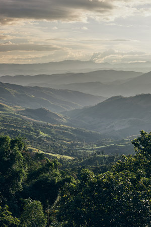 Beautiful mountain landscape of Doi Chang hill in Chiang Rai province, Thailandの写真素材