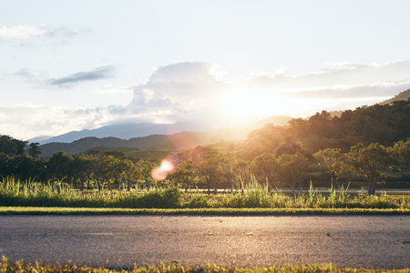 the mountains and hills at Singha Park, Chiang Rai, Thailand