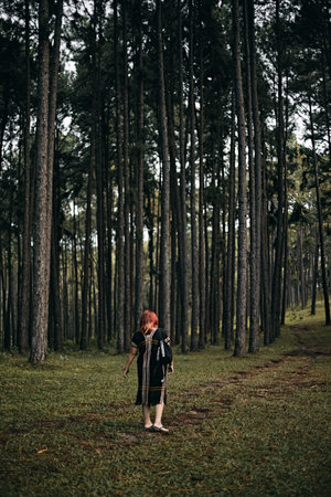 Rear View Of Woman Walking Amidst Trees In Forest