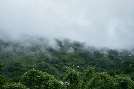 Green Season mountains in morning at north thailand.