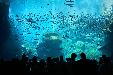 Sillouhettes of people gaze at a the blue curtain of an enormous aquarium viewの写真素材