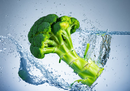 Broccoli jump out from water, studio shootの素材