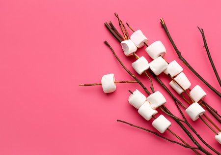 Roasted Marshmallow on Twig Against Pastel Colored Background.の素材