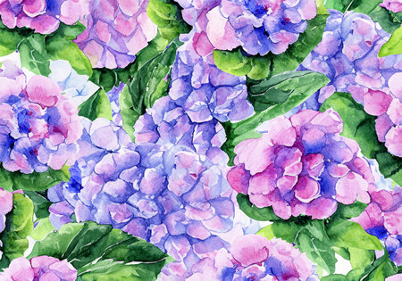 Hand painted hydrangea plant, watercolorの素材