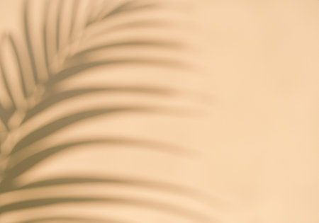 Blurred palm leaf shadow wall pastel beige background.Â の素材