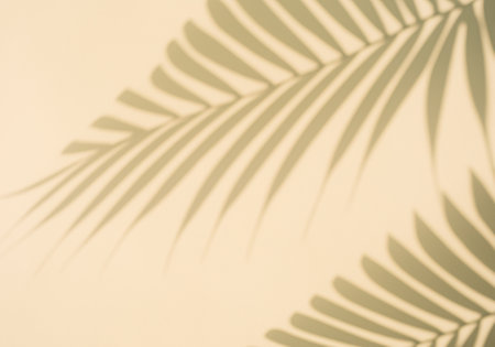 Blurred palm leaf shadow wall pastel beige background.Â の素材