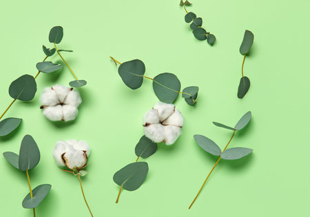 white cotton flowers, natural conceptの素材