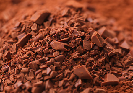 Close up Cacao beans and chocolate powderの素材