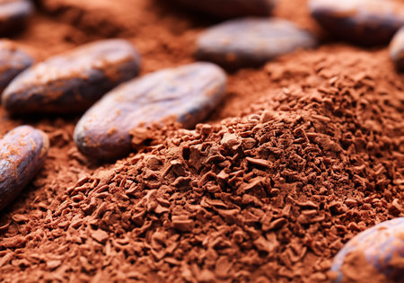 Close up Cacao beans and chocolate powderの素材