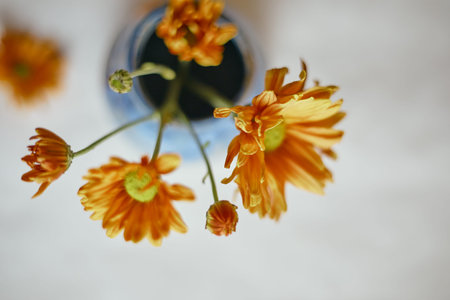 Ceramic vase with flowers on beige background.