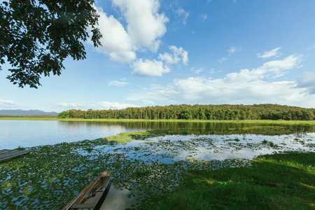 Landscape view of Mae Puem Reservoir ,national park in Phayao ,Thailandの写真素材