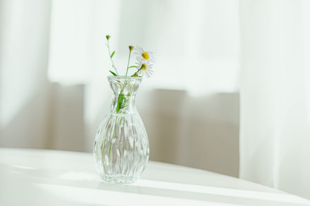 Beautiful daisy flowers in glass vases on light background.